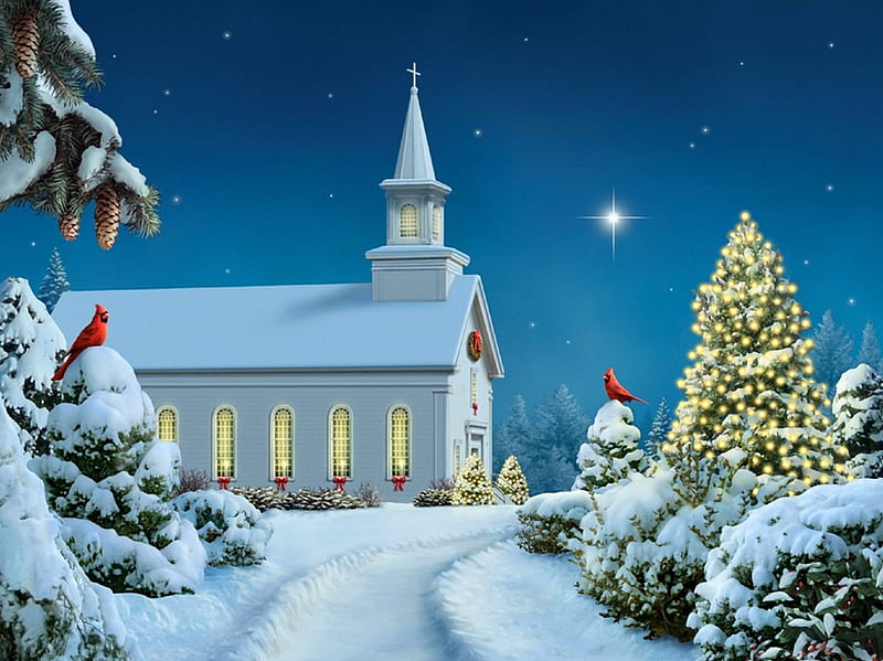 Midnight Clear, christmas, church, artwork, winter, snow, painting, path, star, cardinal, HD wallpaper