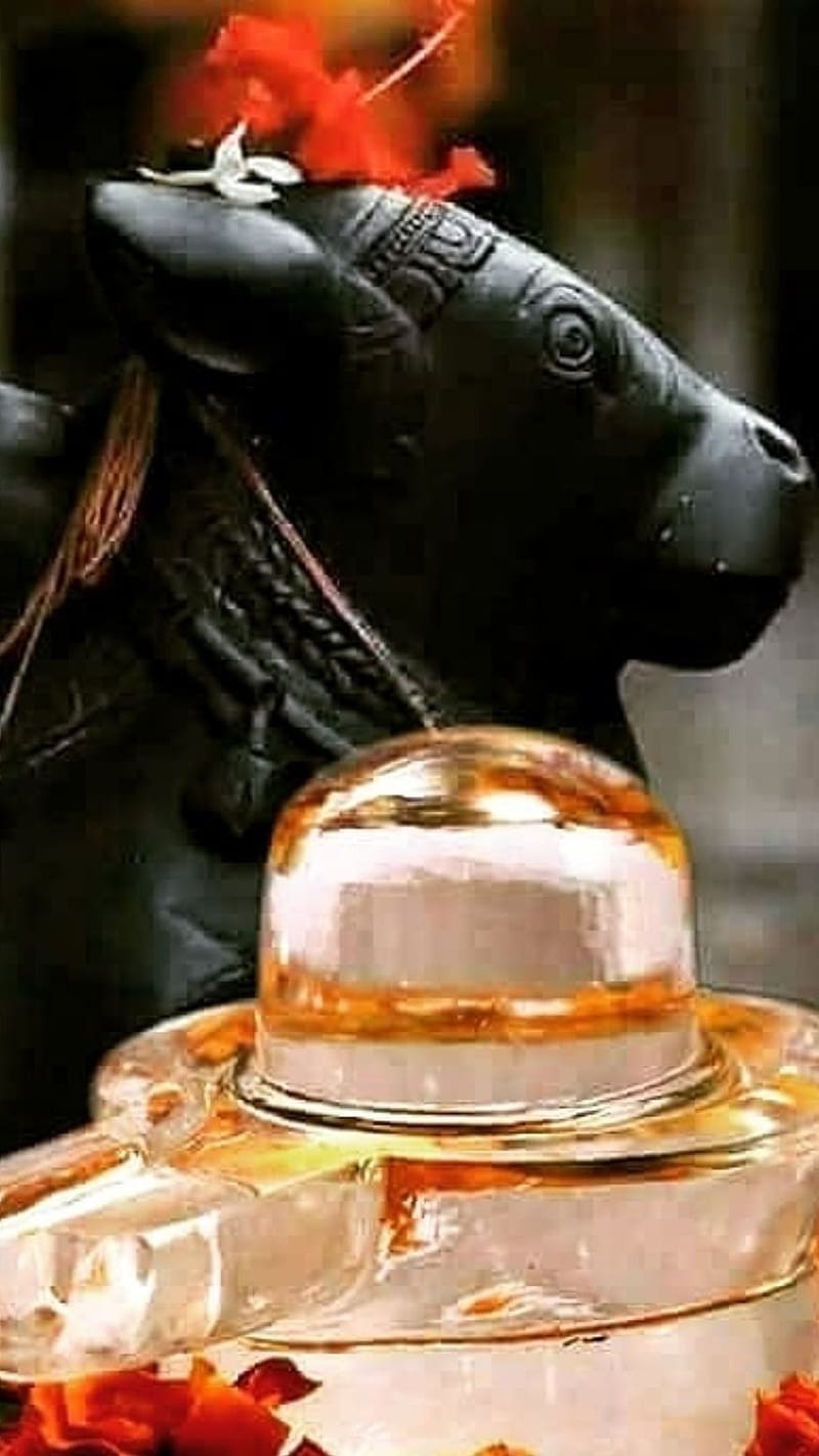 HD shivling with nandi wallpapers | Peakpx