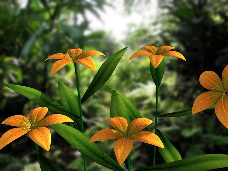 Flores naranjas, flores, naranja, Fondo de pantalla HD | Peakpx