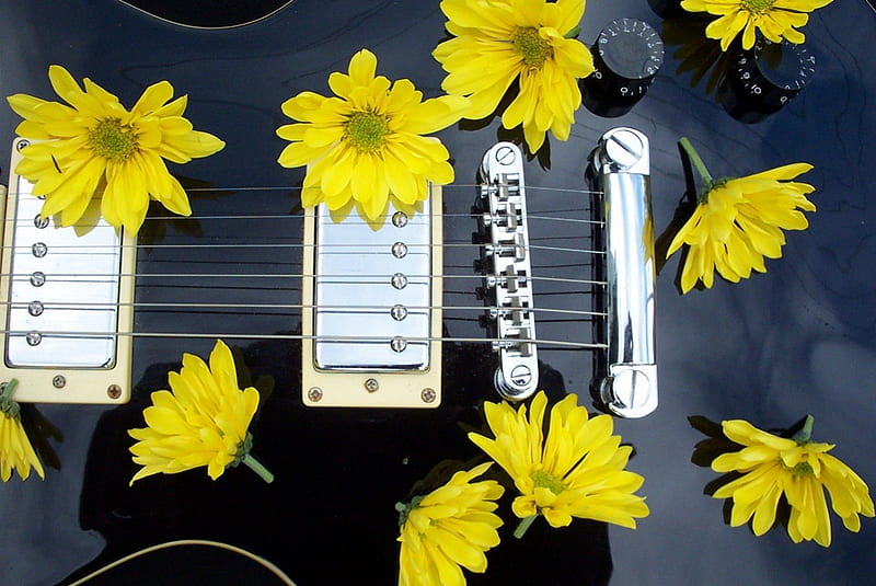 black les paul, les paul, guitar, flower, black, yellow, electric, HD wallpaper