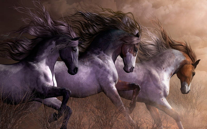 3 Muskateers - Horses F+Cmp, art, cantering, galloping, equine, horse, artwork, paints, pintos, painting, wide screen, HD wallpaper