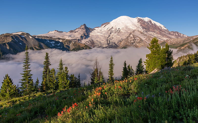 Mount Rainier National Park clouds, mountains, summer, Pearce County, USA, Washington, beautiful nature, America, HD wallpaper