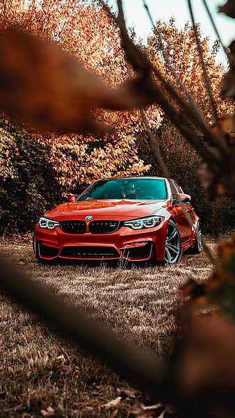 BMW M3, auto, car, f80, m power, red, sedan, tuning, vehicle, HD phone wallpaper