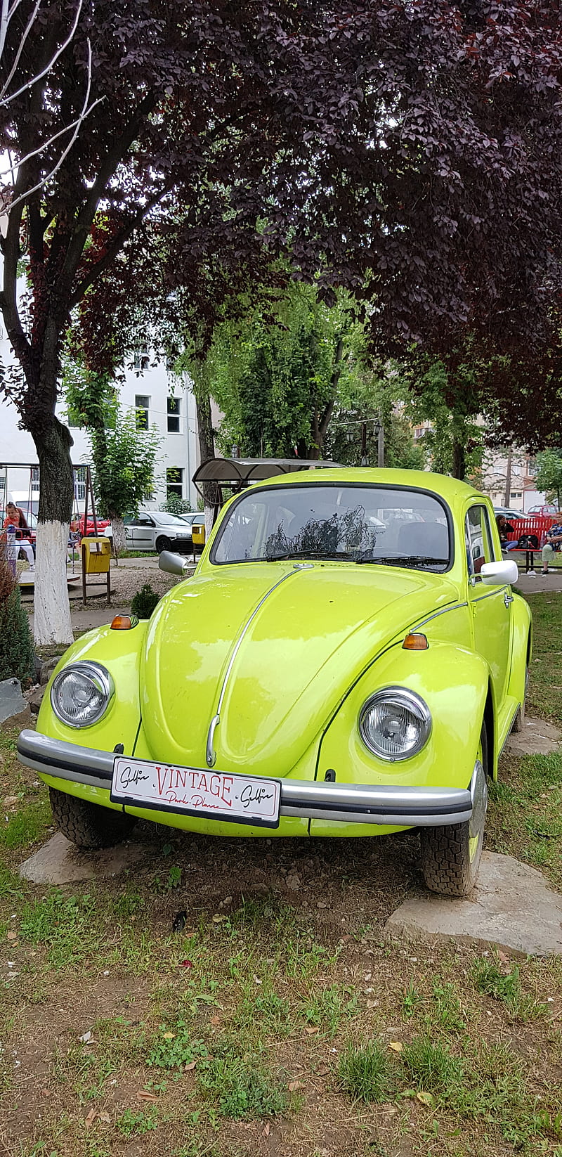 Vw, auro, beetle, carros, green, old, old car, vintage, HD phone wallpaper
