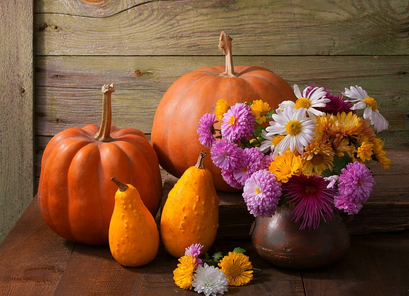 Autumn Still Life, Fall, table, vase, gourds, daisies, still life, bouquet, flowers, Autumn, wood, pumpkins, HD wallpaper