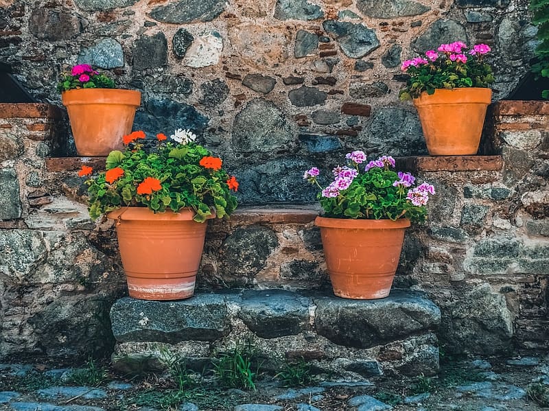 Potted flowers, nyar, viragok, fazekassag, epiteszet, lepcsok, ko, HD wallpaper