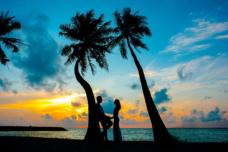 Silhouette of Male and Female Under Palm Trees, HD wallpaper