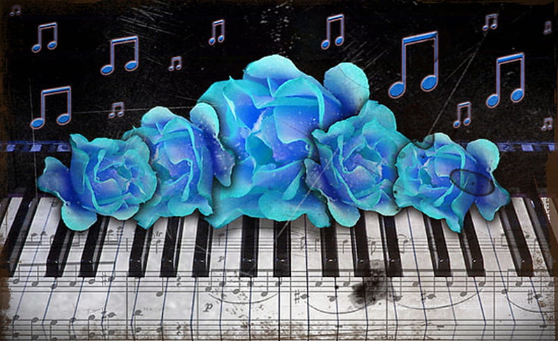 Blue Roses and Piano Keyboard, Piano, Roses, Blue, Keyboard, HD wallpaper
