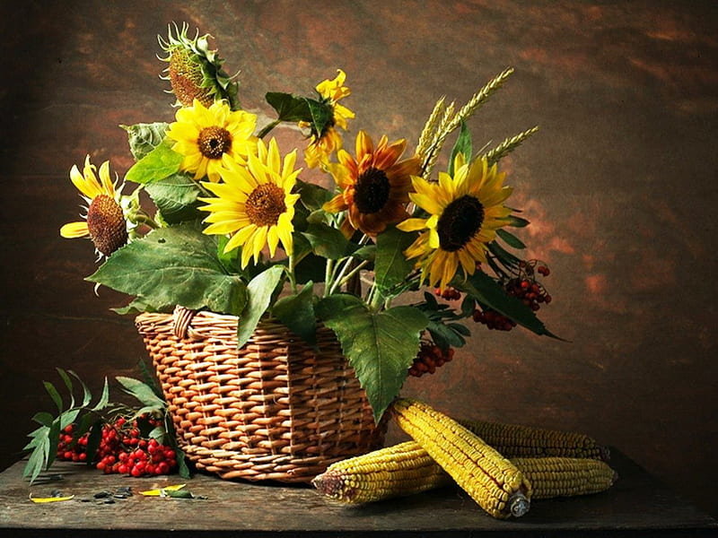 Sunflowers, flowers, nature, basket, HD wallpaper | Peakpx