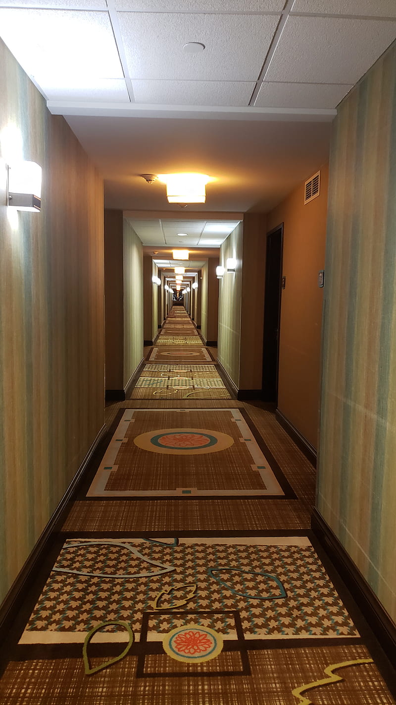 Infinite hallway, ghost, horror, hotel, house, HD phone wallpaper