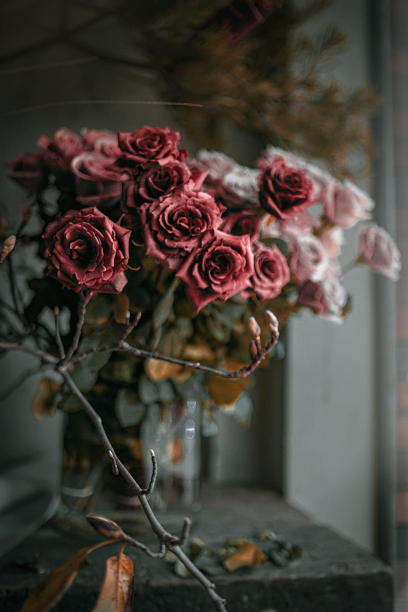 roses, flowers, bouquet, red, pink, HD phone wallpaper