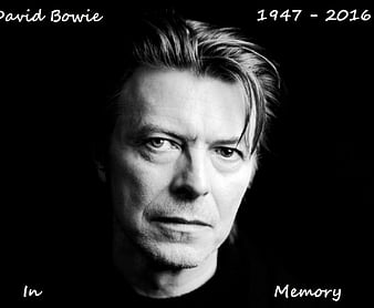 David Bowie 17 English Rock Star Legend Music Icon Actor Songwriter Poster B&W