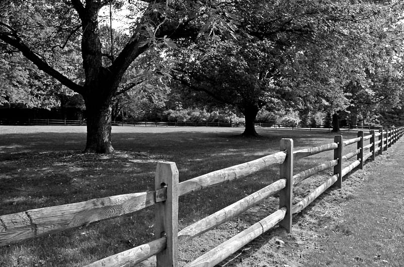 Fence Line Shooting, fence, autumn fence, fenceline, scenic fence, HD wallpaper