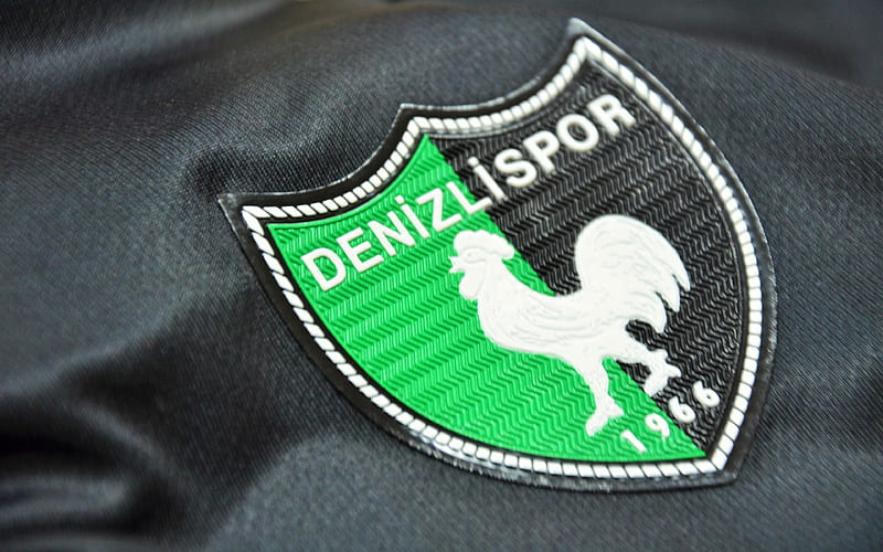 Denizlispor, Turkish football club, Denizli, Turkey, logo, emblem, green T-shirt, HD wallpaper