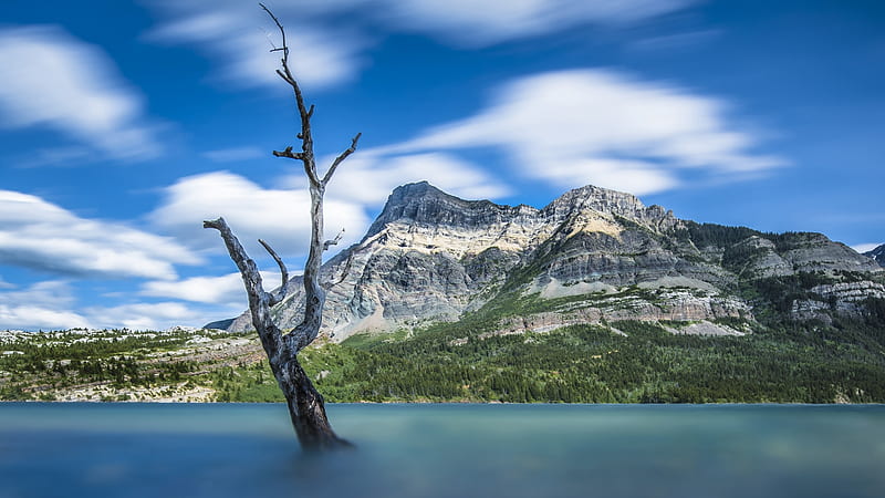 Waterton Lakes NP, Alberta, sky, mountains, tree, clouds, landscape, canada, HD wallpaper