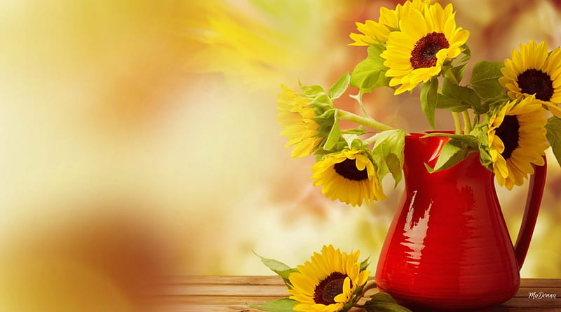 Pitcher of Sunflowers, fall, autumn, gold, sunflowers, bouquet, summer, flowers, HD wallpaper
