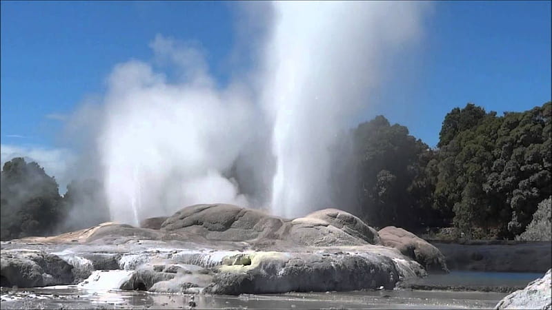 rotorua pohutu geyser, boiling hot, water, spurting, geyser, 100 feet, HD wallpaper