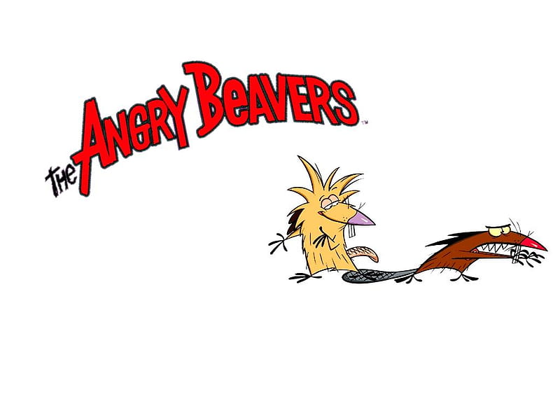 Angry Beavers, tv show, beavers, daggett, norbert, HD wallpaper