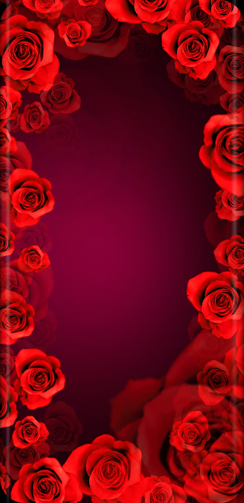 WildRoses, red, wild, roses, rose, flowers, pretty, girly, bonito, HD phone wallpaper