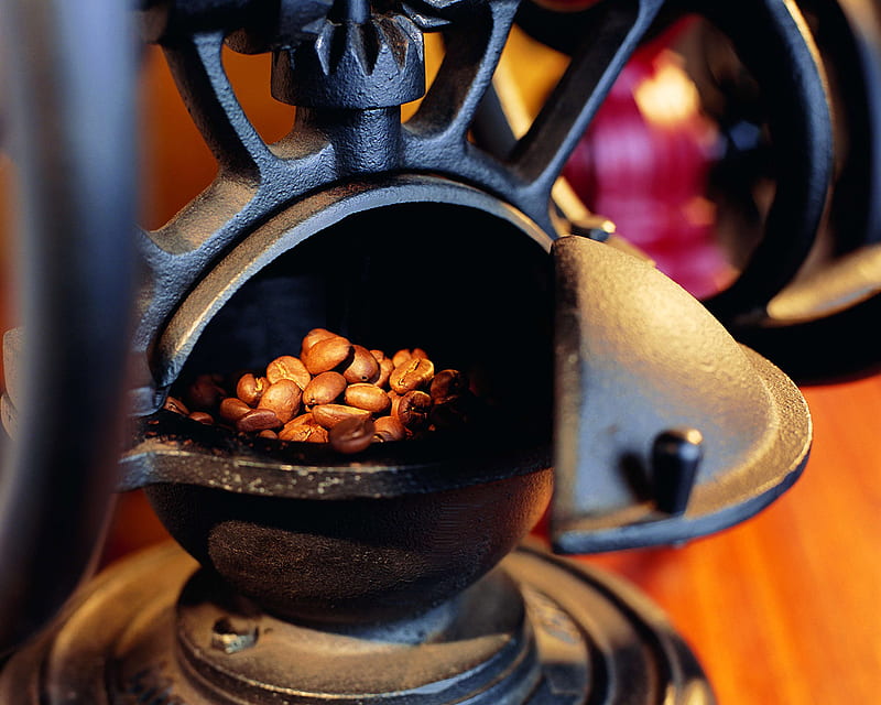 Coffee Beans in the Grinder, coffee bean grinder, saucer, fresh, beans, ground, black, grinder, coffee, cup, brewed, drink, morning, HD wallpaper
