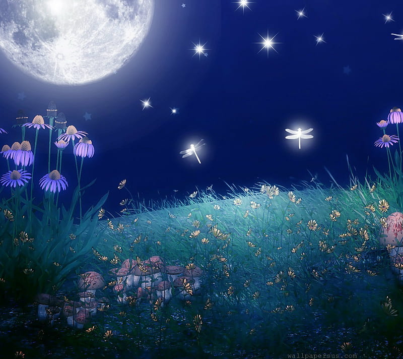 Summer night, fireflys, flowers, night, summer, HD wallpaper