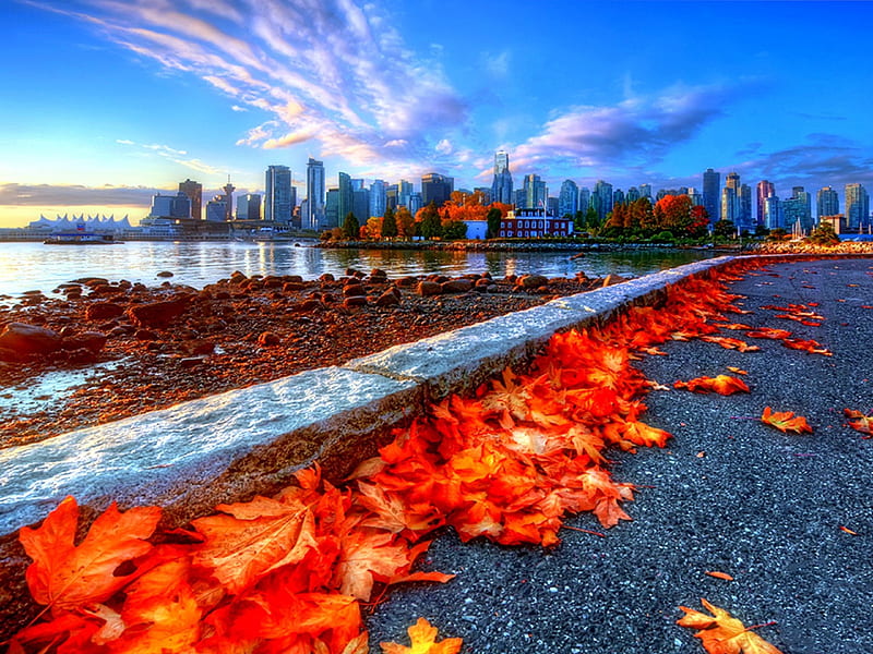 ★Seawall in Autumn★, architecture, autumn, stunning, panoramic view, skylines, attractions in dreams, bonito, seasons, graphy, leaves, Canada, cityscapes, most down loaded, fall season, Stanley Park, buildings, colors, love four seasons, places, creative pre-made, skyscrapers, towers, Seawall, HD wallpaper