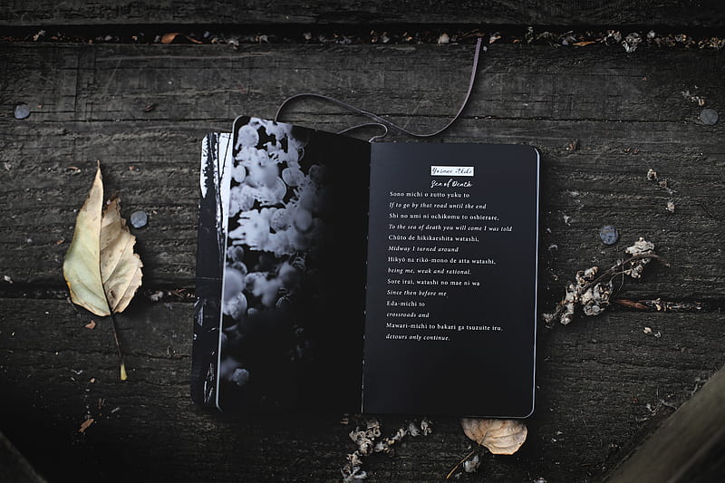 black audio book, HD wallpaper