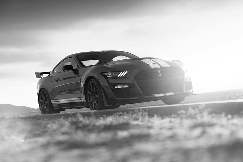 Ford, Car, Muscle Car, Ford Mustang Shelby Gt500, Vehicles, Black & White, Ford Mustang Shelby, HD wallpaper