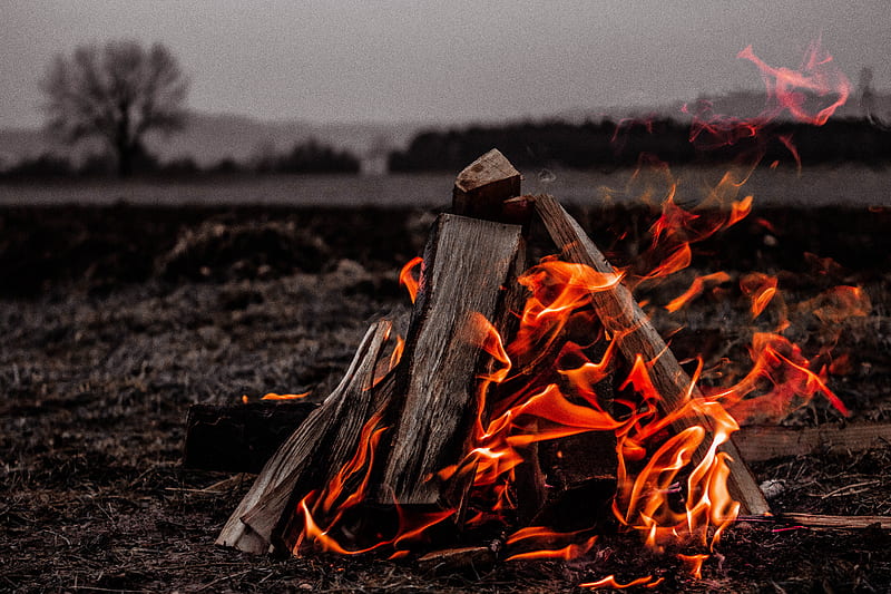 brown bonfire on gray field, HD wallpaper