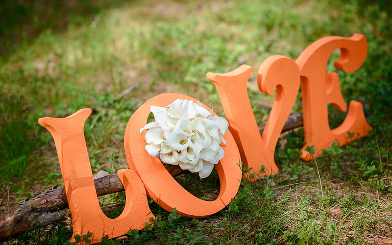 :-), valentne, orange, love, flower, calla, word, card, HD wallpaper