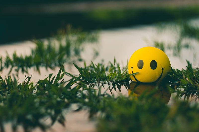 ball, smile, smiley, grass, water, HD wallpaper