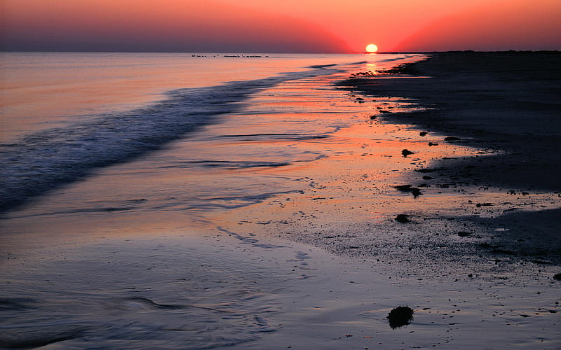 Last Light, red, rocks, sunset, sea, beach, calm, sand, reflection, seaweed, HD wallpaper