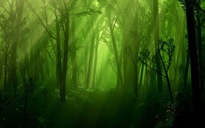 dark enchanted forest, forest, fantasy, green, dark forest, trees, abstract, enchanted, HD wallpaper