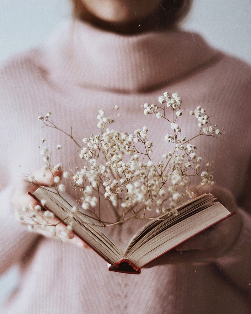 book, branch, flowers, white, open, HD phone wallpaper