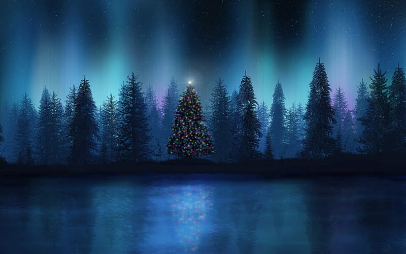 Christmas Tree in the Forest, 3D and CG, forests, abstract, christmas ...