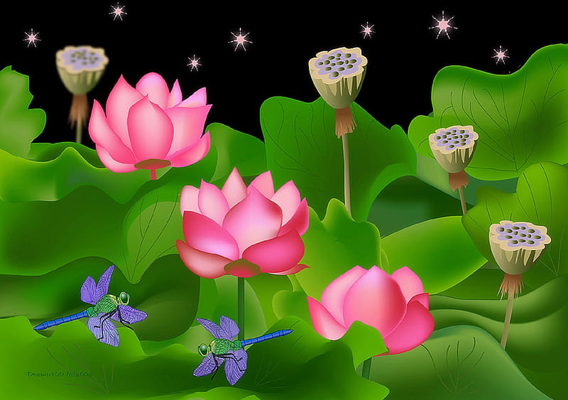 HD dragonfly and lotus wallpapers | Peakpx