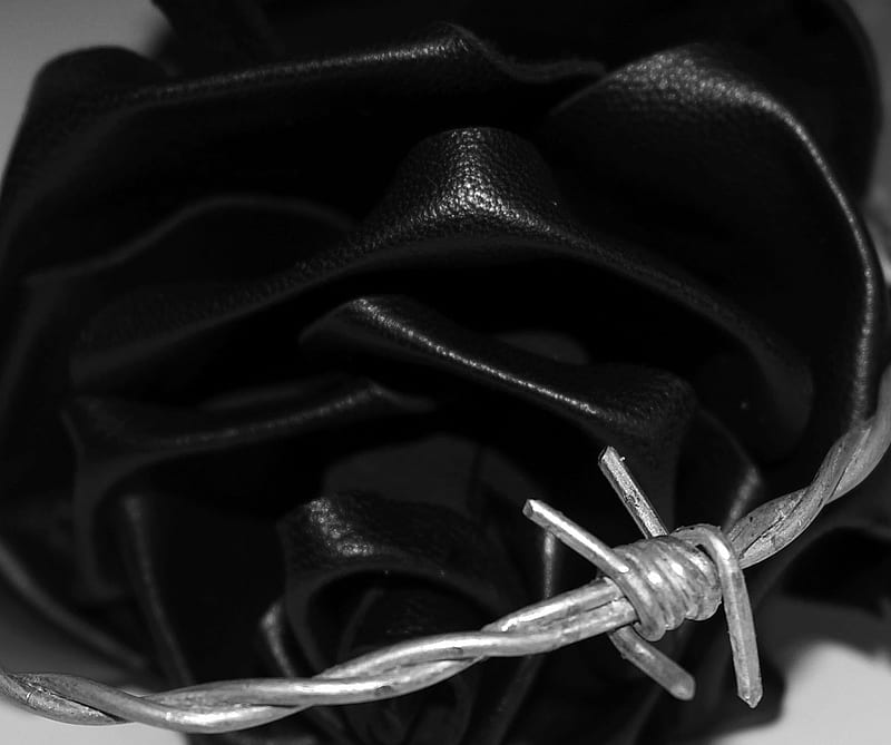 Barbed, black, flowers, leather, rose, wire, HD wallpaper