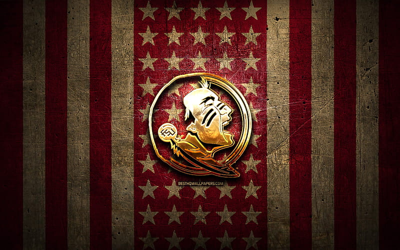 Free FSU Seminoles iPhone Wallpapers Install in seconds 21 to choose from  for every model  Florida state university Florida state university  football Fsu logo
