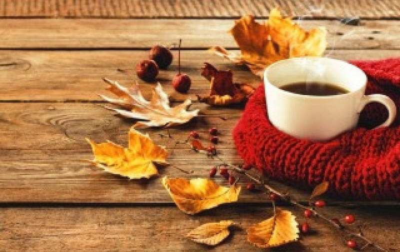 Sweet coffee and an autumn carpet  HD wallpaper