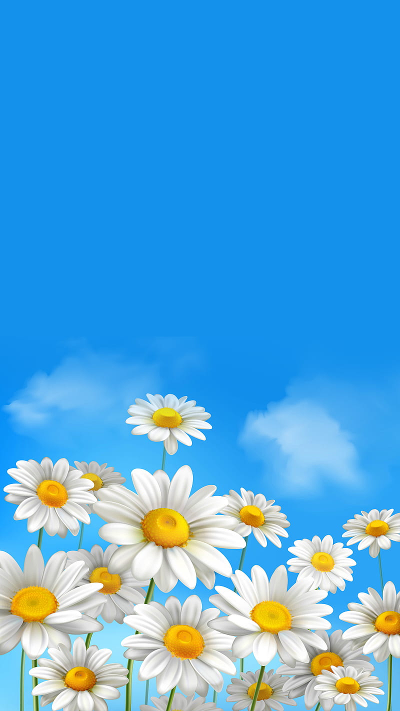 Daisies, Kiss, blue sky, clouds, daisy, flowers, white, yellow, HD phone wallpaper