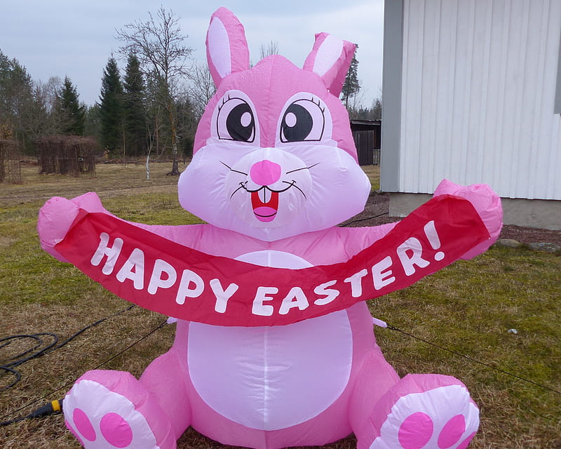 Happy Easter, rabbit, pink, outdoors, blow up, HD wallpaper