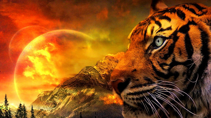 New Domains, Tiger, CGI, Landscape, 3D, Collage, HD wallpaper