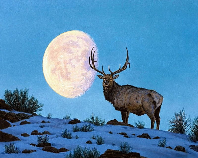 Increasing Moon, snow, painting, artwork, winter, deer, HD wallpaper