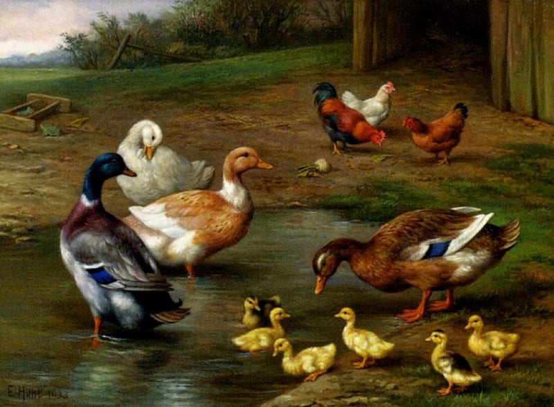 Poultry at the Farmyard, hens, chicken, painting, ducks, artwork, HD wallpaper