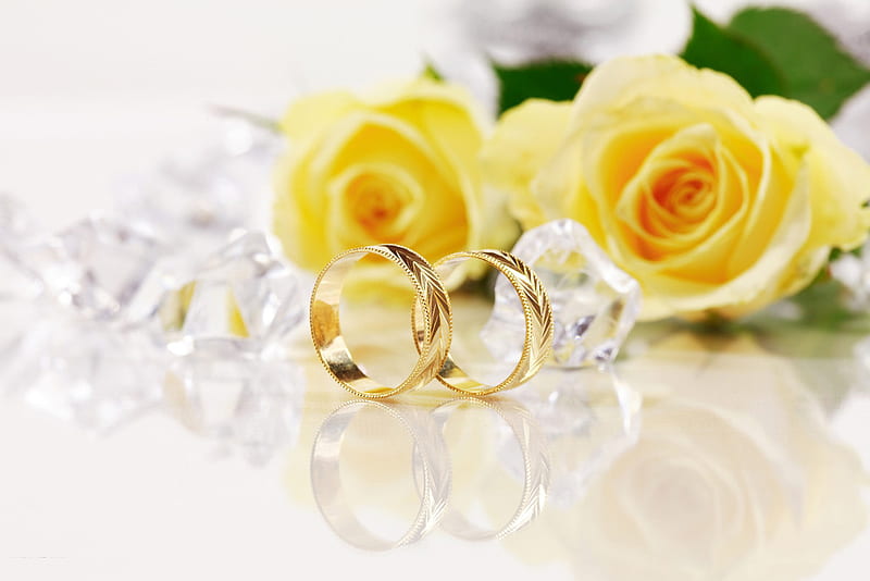 white love, pearl, necklace, rose, yellow, crystal, pearl necklace, ring, diamond, HD wallpaper
