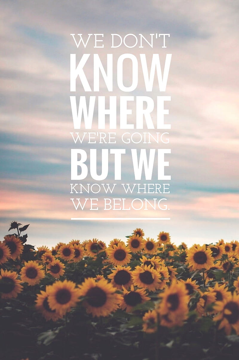 We dont know, life, yourself, HD phone wallpaper