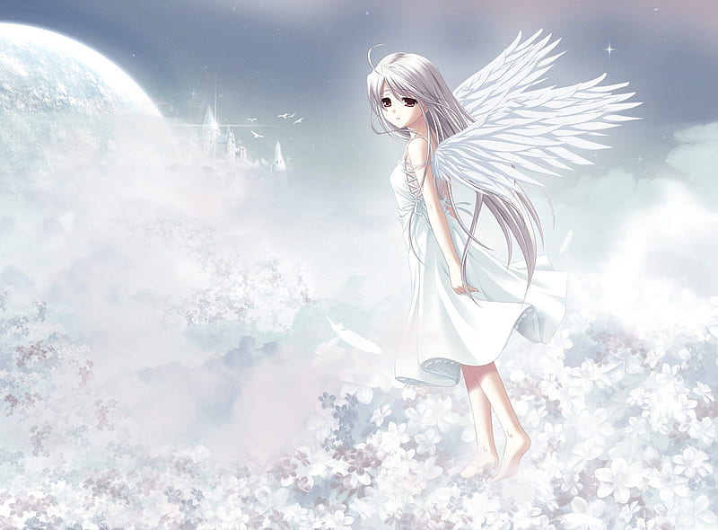 The World Beyond, cute, wings, angel, flowers, girls, clouds, kingdom, feathers, HD wallpaper