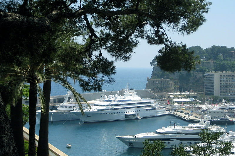 Harbor Monte Carlo, holiday, ocean, trees, tree, boats, water, harbour, cruiseship, summer, HD wallpaper