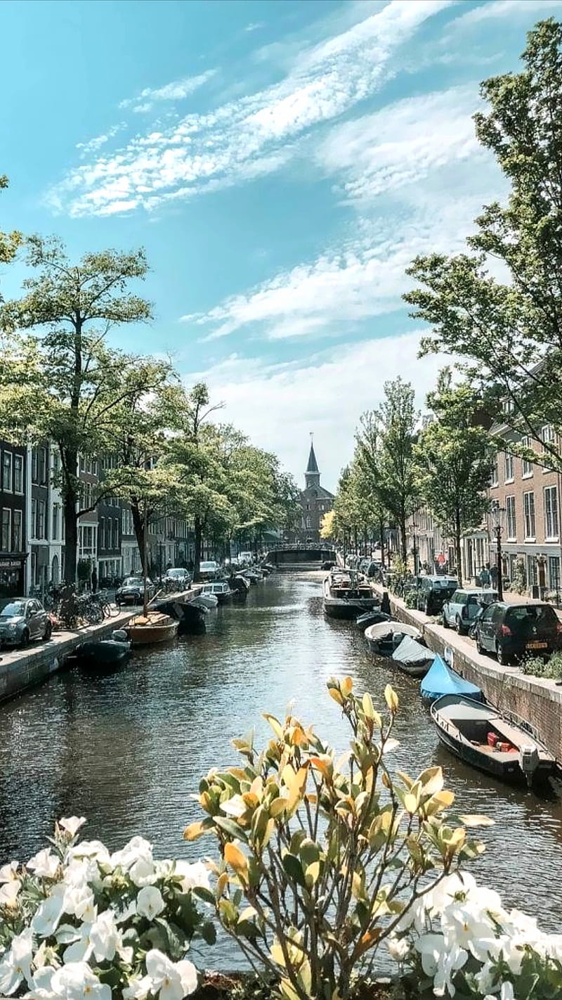 Amsterdam, árboles, barcos, cielo, ciudad capital, holanda, naturaleza,  países bajos, Fondo de pantalla de teléfono HD | Peakpx