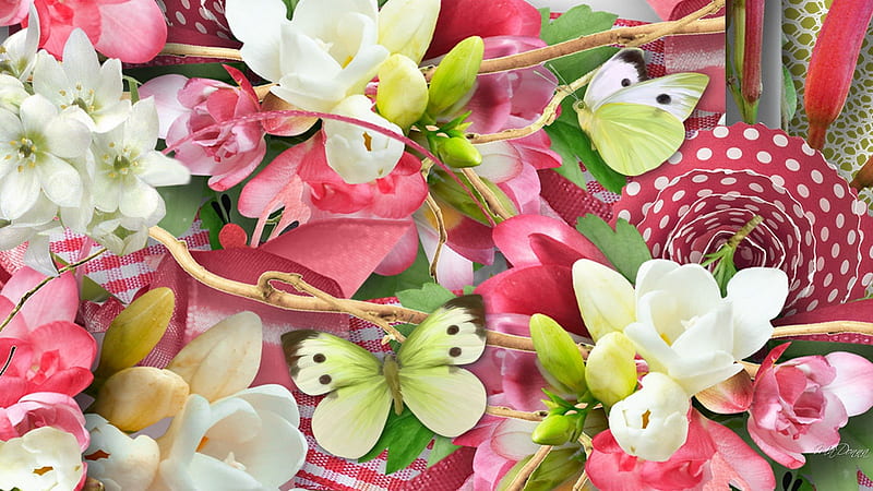 Blossoms and Butterflies, fragrant, ribbon, plumeria, butterflies, spring, floral, summer, flowers, pink, HD wallpaper